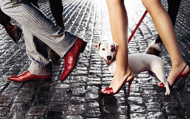 Обои картинки фото юмор, приколы