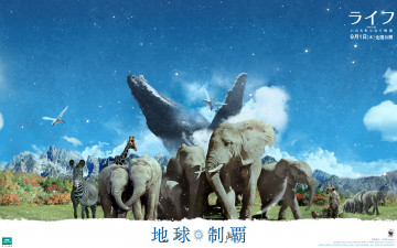 Картинка one life кино фильмы чайки кит гепарды зебра животные слоны жирафы