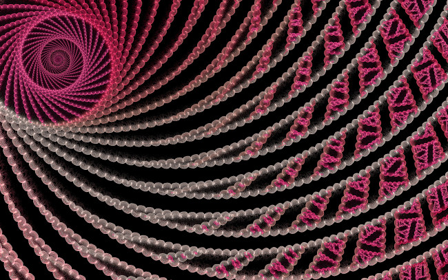 Обои картинки фото 3д, графика, fractal, фракталы, фрактал