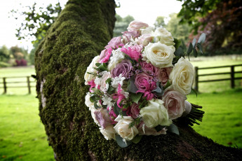 Картинка цветы букеты композиции букет розы