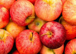 Картинка еда Яблоки плоды