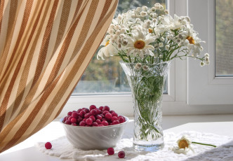 Картинка еда клюква ягоды букет