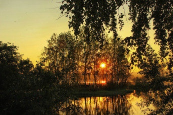 Картинка природа восходы закаты деревья закат