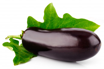 Картинка еда баклажаны синенький