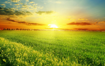 Картинка природа восходы закаты поле травка деревья закат nature field grass trees sunset