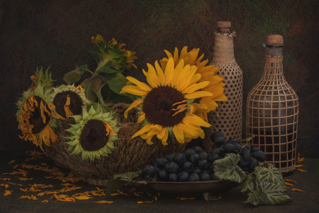 Обои картинки фото еда, натюрморт, виноград, бутылки, полсолнухи