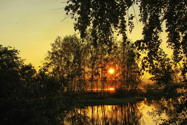 Обои картинки фото природа, восходы, закаты, деревья, закат