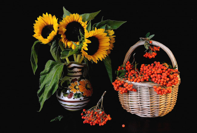 Обои картинки фото еда, рябина, подсолнухи, корзина