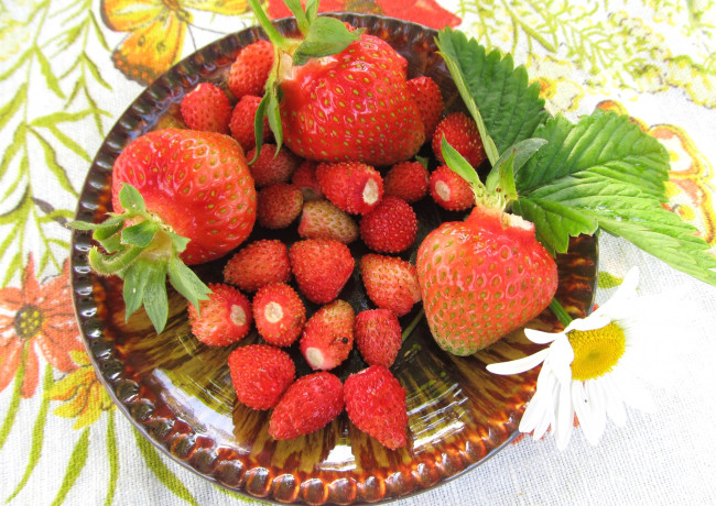 Обои картинки фото еда, клубника,  земляника, ягоды
