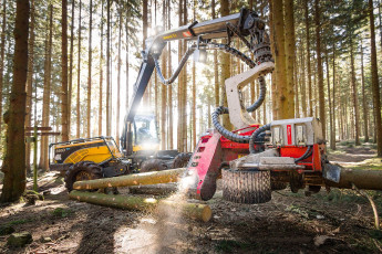 Картинка техника лесоповалочная+техника лесозаготовка