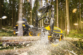 Картинка техника лесоповалочная+техника лесозаготовка