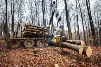 Картинка техника лесоповалочная+техника лесозаготовка