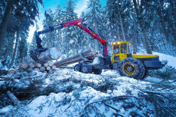 Картинка техника лесоповалочная+техника лесозаготовка