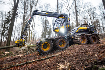 Картинка техника лесоповалочная+техника лесозаготовка