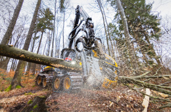 Картинка техника лесоповалочная+техника лесозаготовка