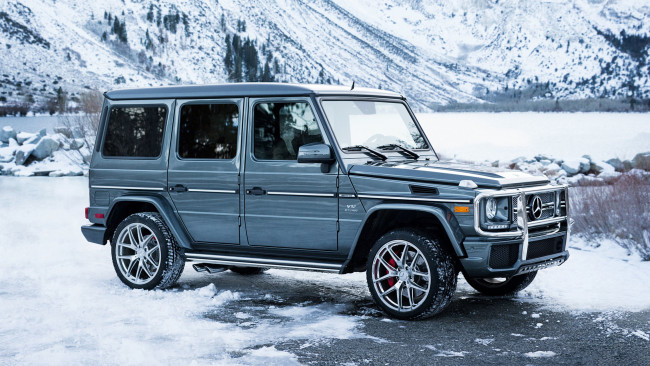 Обои картинки фото mercedes-benz amg g65 2017, автомобили, mercedes-benz, g65, 2017, amg