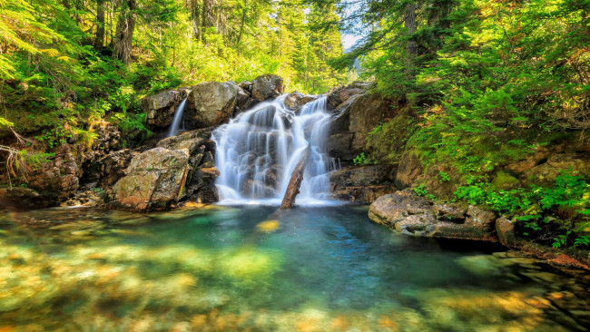 Обои картинки фото природа, водопады, деревья, речка, скалы, лес, водопад