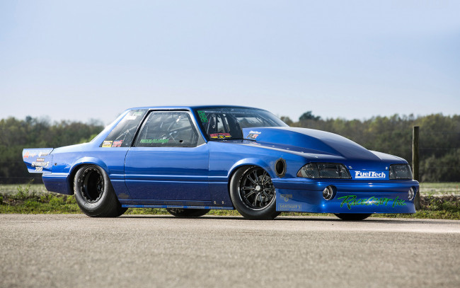 Обои картинки фото автомобили, mustang