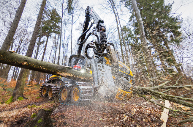 Обои картинки фото техника, лесоповалочная техника, лесозаготовка