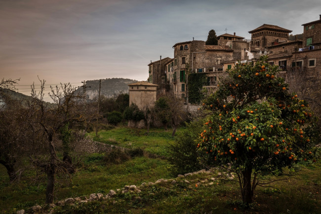 Обои картинки фото испания, города, - здания,  дома, деревья, растения, гора, цитрус, трава
