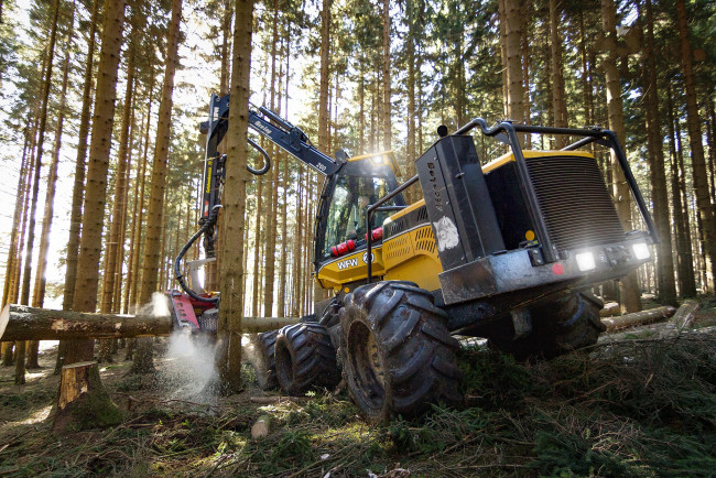 Обои картинки фото техника, лесоповалочная техника, лесозаготовка