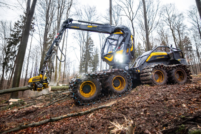 Обои картинки фото техника, лесоповалочная техника, лесозаготовка
