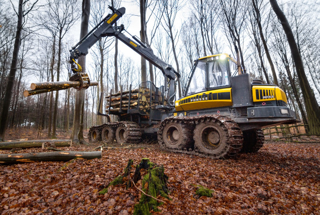 Обои картинки фото техника, лесоповалочная техника, лесозаготовка