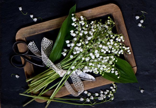 Обои картинки фото цветы, ландыши, ножницы, черный, фон, лента, рамка