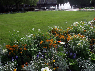 Картинка природа парк фонтан клумба лужайка