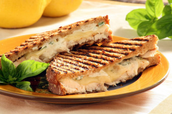 Картинка еда бутерброды +гамбургеры +канапе сэндвич