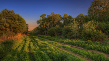 Картинка природа дороги простор