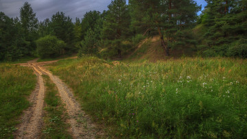 Картинка природа дороги простор