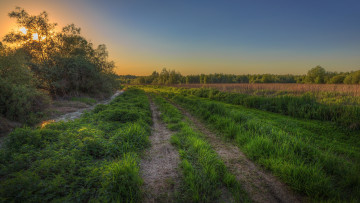 Картинка природа дороги простор