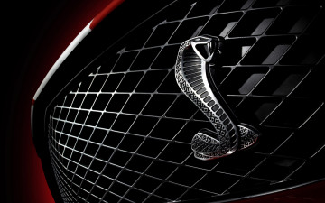 Картинка автомобили фрагменты+автомобиля эмблема решетка мустанг форд ford mustang shelby gt500