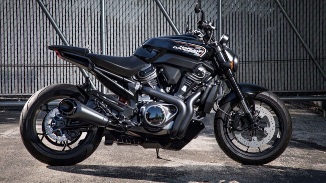Обои картинки фото 2020 harley davidson streetfighter, мотоциклы, harley-davidson, streetfighter, 2020, harley, davidson, харлей, дэвидсон, профиль