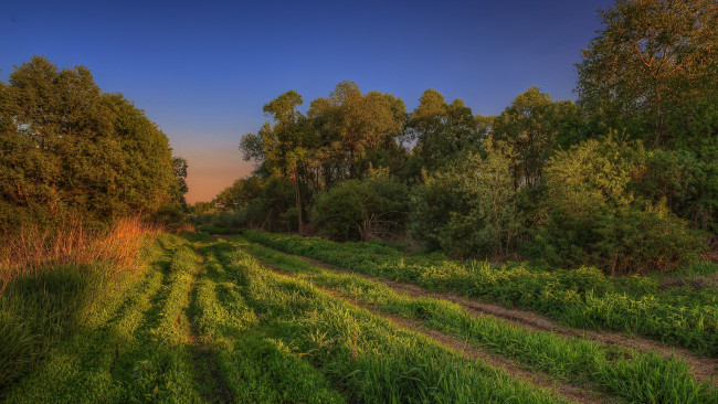 Обои картинки фото природа, дороги, простор