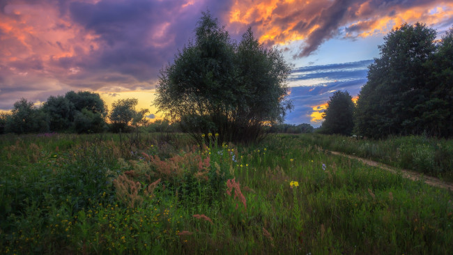 Обои картинки фото природа, луга, простор