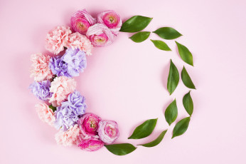 Картинка цветы разные+вместе гвоздика ранункулюс листья