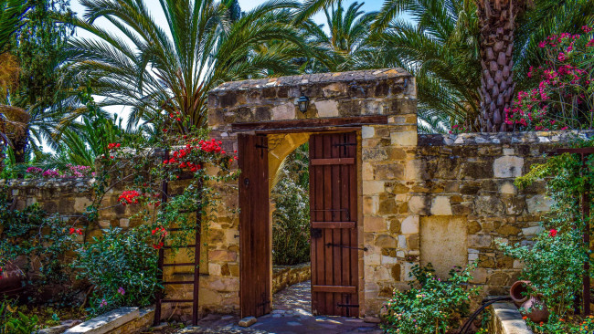 Обои картинки фото природа, парк, тропики, пальмы