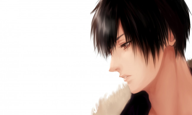 Обои картинки фото аниме, durarara, дюрарара