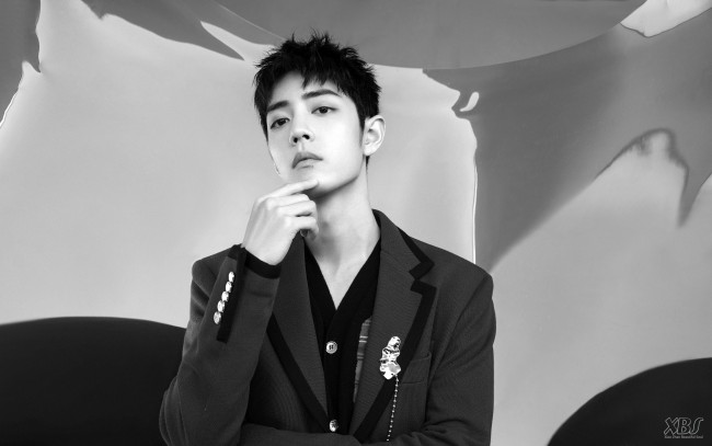 Обои картинки фото мужчины, xiao zhan, актер, пиджак, брошь