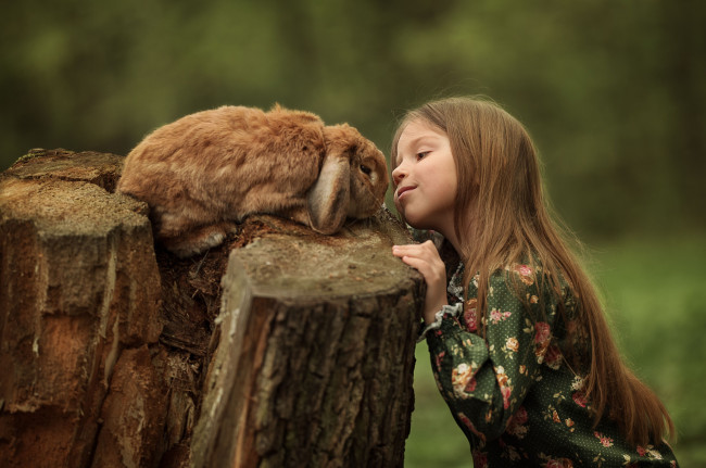 Обои картинки фото разное, дети, кролик, пень, девочка, рыжая