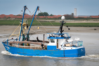 обоя корабли, траулеры,  сейнеры,  плавбазы, рыболовное, судно