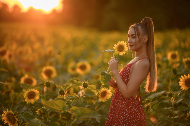 Обои картинки фото сексуальная девушка, девушки, - брюнетки,  шатенки, девушка, женщина, шатенка, темноволосая, сексуальная, модель, звезда, позирует, разная, обувь, верхняя, стильная, одежда, нижнее, эротическое, бельё, трусы, лифчик, колготки, чулки, аксессуары, макияж, и, множество, элементов, на, фотографии