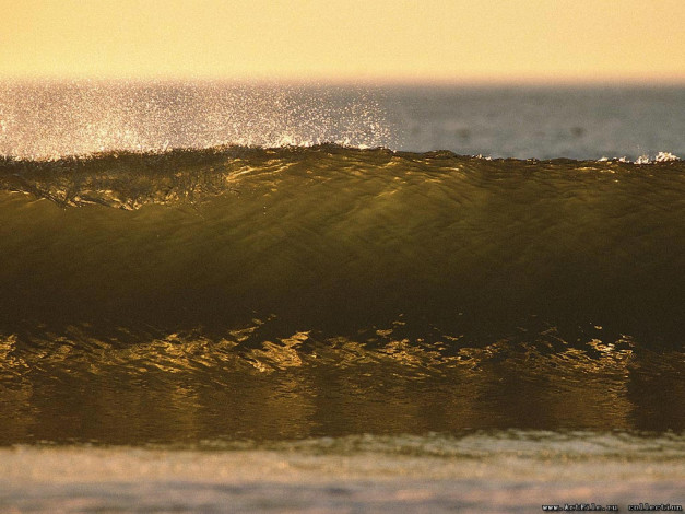 Обои картинки фото 