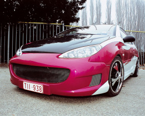 Картинка peugeot 206 coupe автомобили