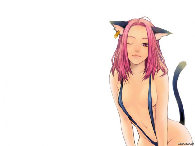 Обои картинки фото аниме, animals