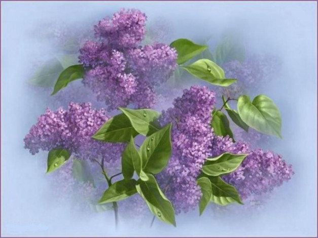 Обои картинки фото рисованные, цветы