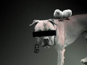 Картинка юмор приколы