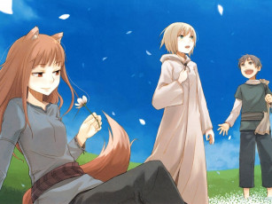 Картинка аниме spice and wolf
